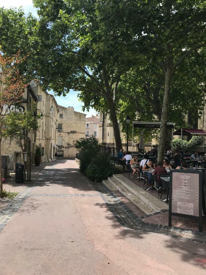 Superbe! Loft T3 -Ctre Historic- Prox. Place Comedie Montpellier Ngoại thất bức ảnh
