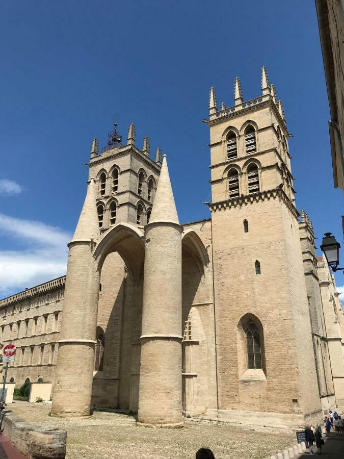 Superbe! Loft T3 -Ctre Historic- Prox. Place Comedie Montpellier Ngoại thất bức ảnh